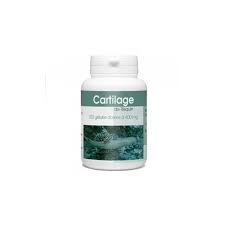 Provital cartilage de requin 60gel