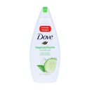 gel douche dove bagnoschiuma 700ml