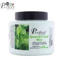 perfect gommage peppermint 500g