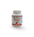 vertu plus acerola vitamine c naturelle 60 gelules