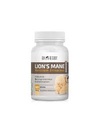 Indoka lion's mane 60 gelules